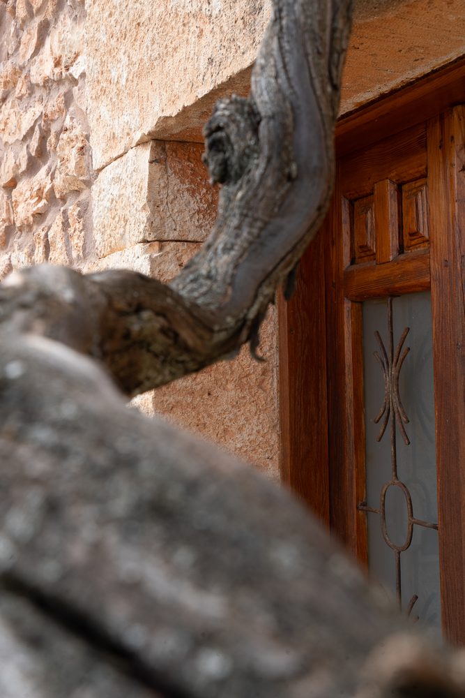 Vid centenaria y puerta de madera