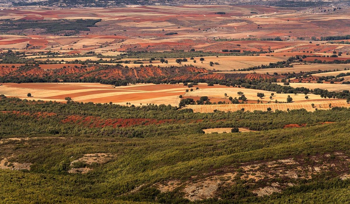 Sierra de Ayllón y tierras rojas